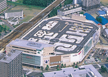 桑園自動車学校