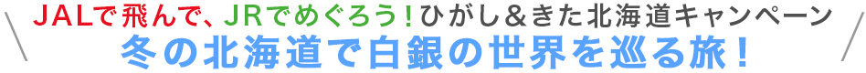 北海道新幹線3周年情報