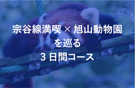 宗谷線満喫×旭山動物園を巡る3日間コース