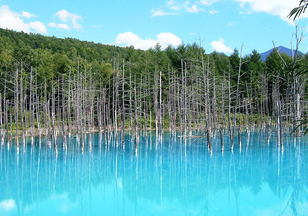 Visit Shirogane Blue Pond and Shirahige-no-Taki Falls by JR trains and local bus