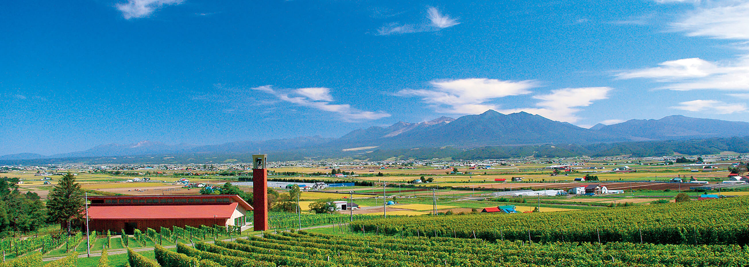 Visit the hills of Biei by rental bike