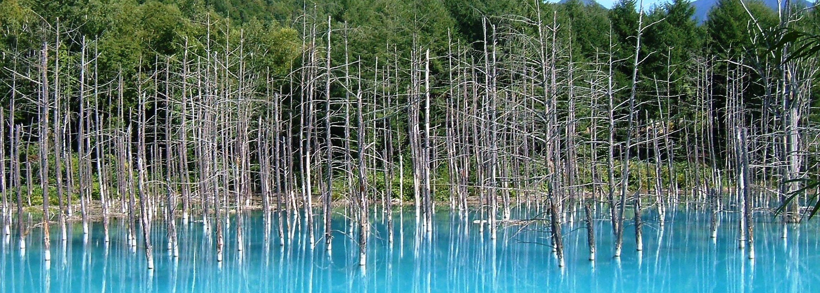 Visit Shirogane Blue Pond and Shirahige-no-Taki Falls by JR trains and local bus