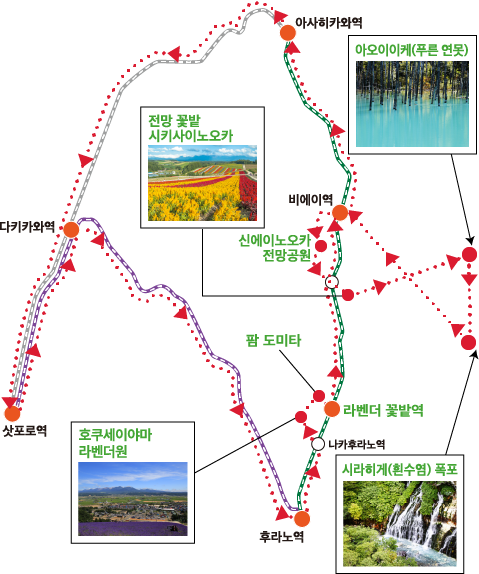 후라노・비에이 듬뿍 만끽 코스