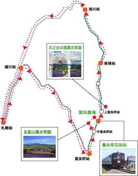 ３つのラベンダー園を巡る ラベンダー尽くしコース地図