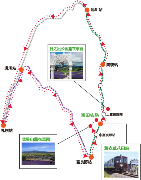 巡游3大薰衣草园 尽享薰衣草行程之旅