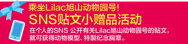 回程也乘坐Lilac旭山动物园号！SNS贴文小赠品活动 在个人的SNS 公开有关Lilac旭山动物园号的贴文，就可获得特製纪念胸章。