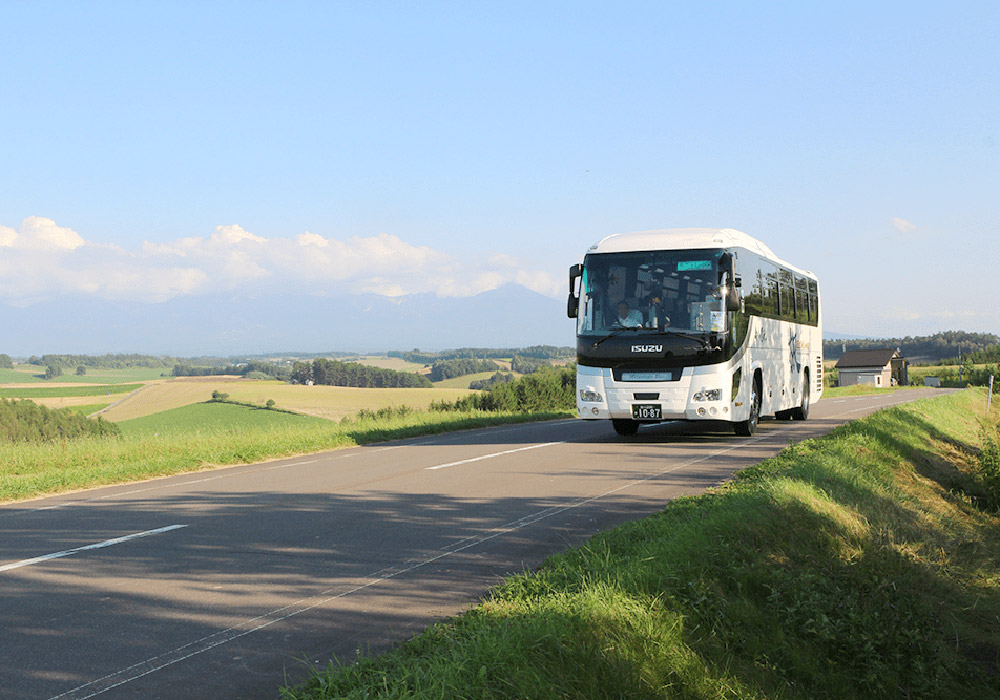 Sightseeing buses offer easy access to Blue Pond and Shikisai no Oka!