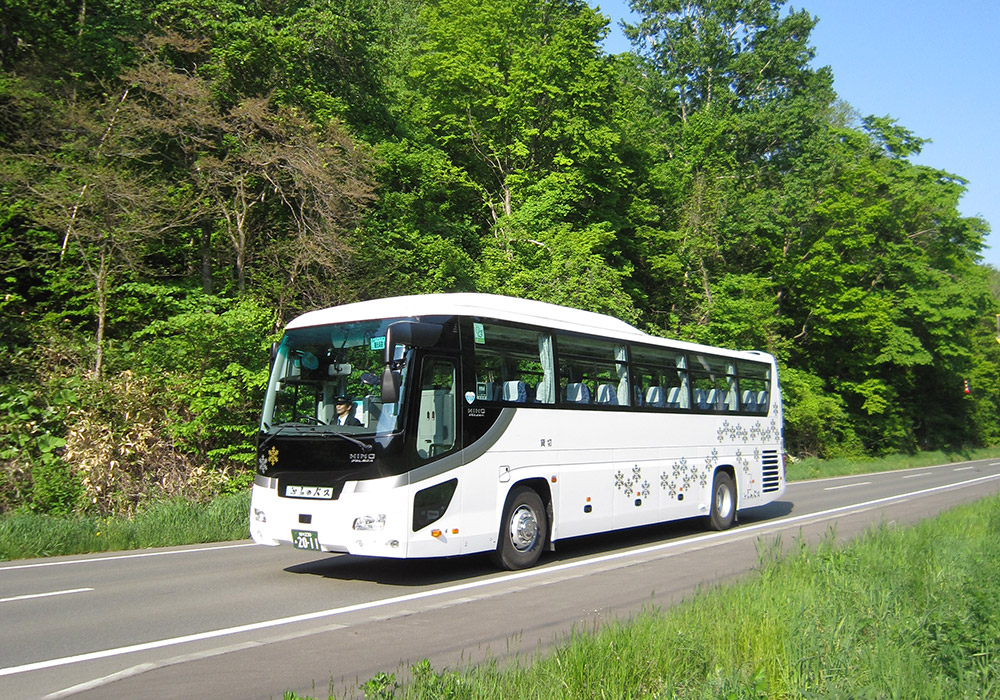 Sightseeing Tour Bus