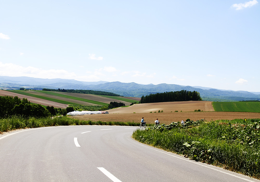 Visit the hills of Biei by rental bike