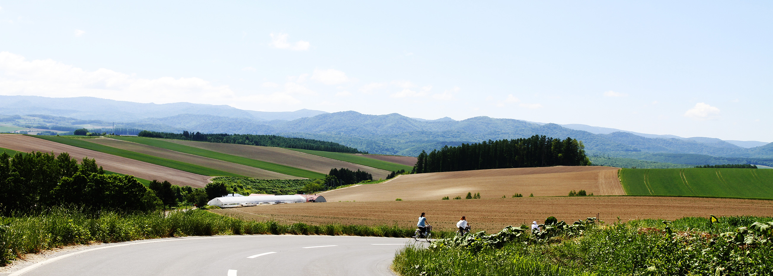 Visit the hills of Biei by rental bike