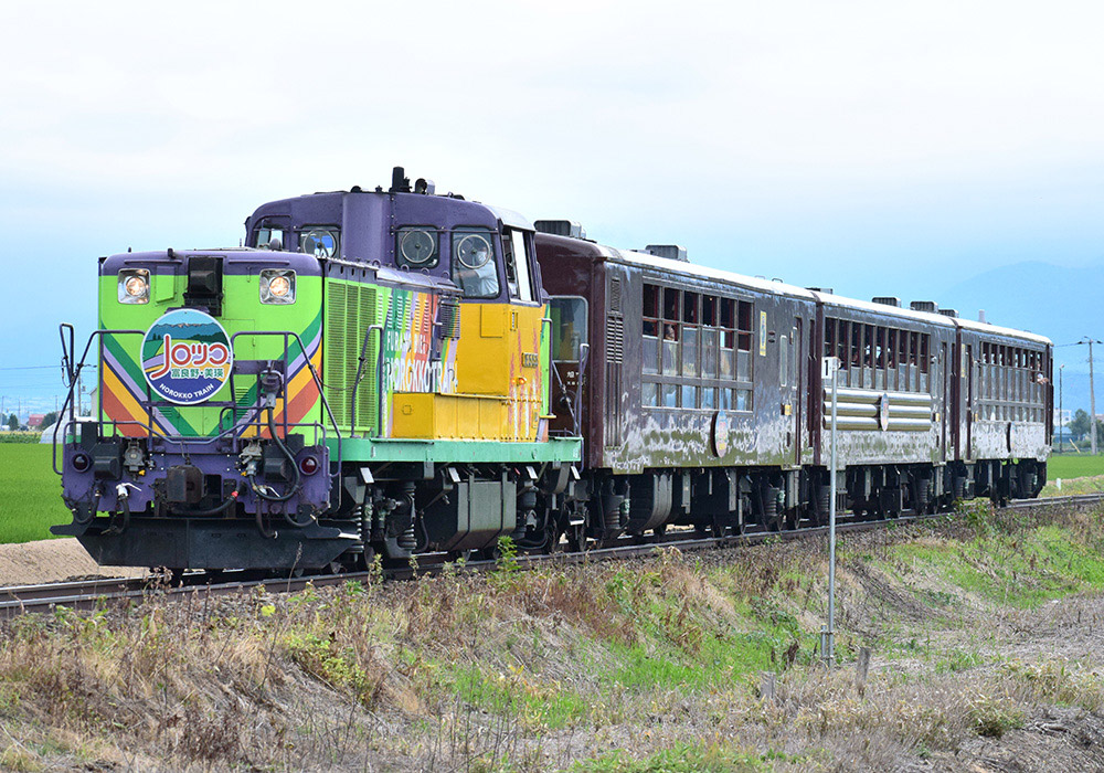 Furano Biei Norokko Train