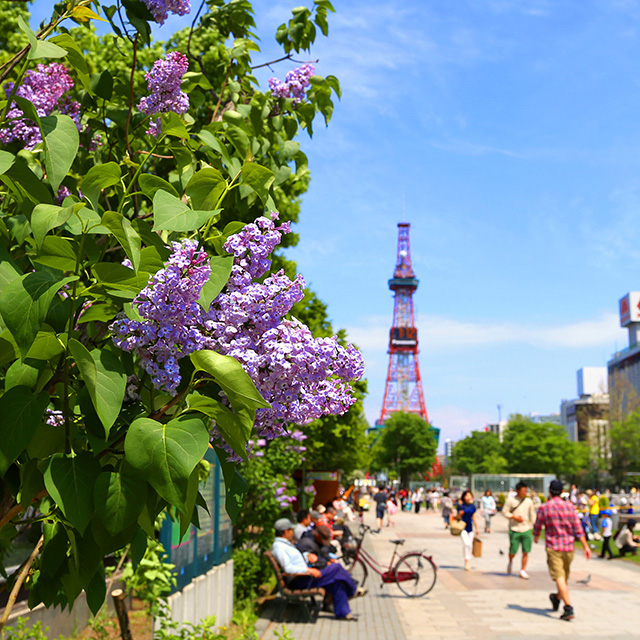 Odori Park