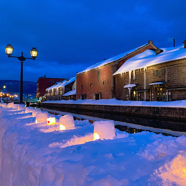 Otaru Snow Light Path (Early to mid Feb)