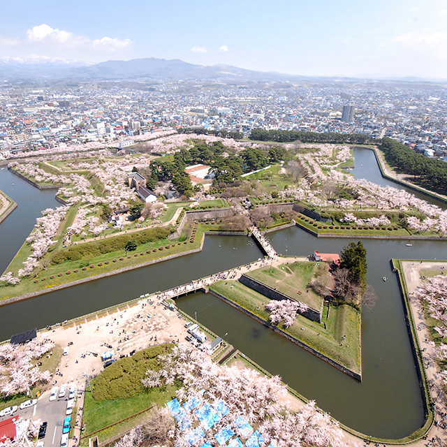 Goryokaku Park