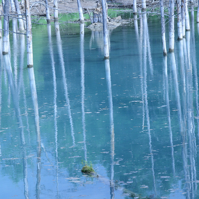 青池