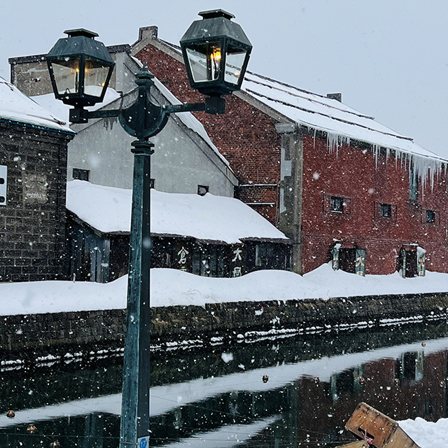 小樽雪灯之路（2月上旬～中旬）