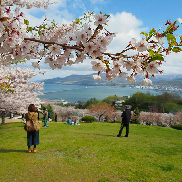 Temiya Park