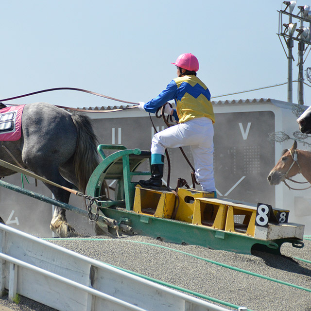 Banei Horse Racing