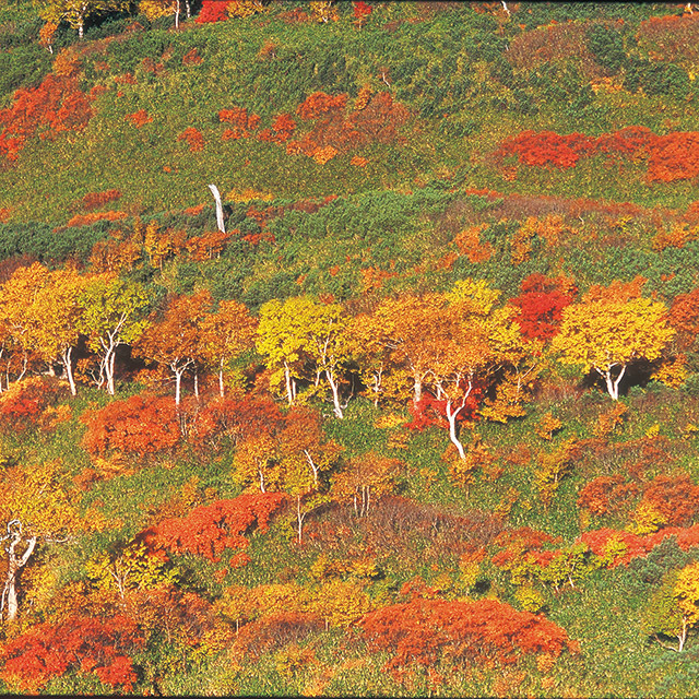 Mt. Asahidake