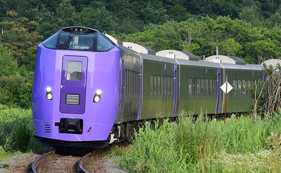 Furano Lavender Express
