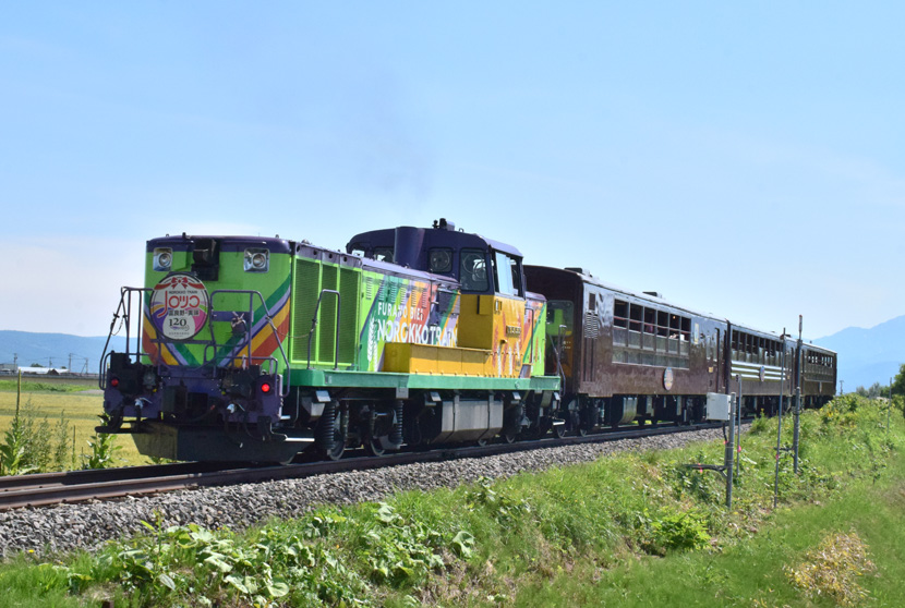 Furano Biei Norokko Train