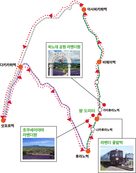 3곳의 라벤더원을 돌아보는 라벤더 만끽 코스