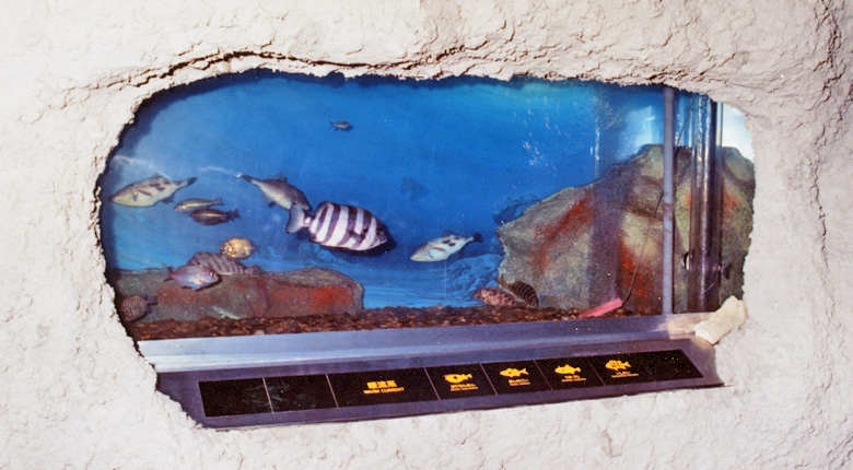 竜飛海底駅｜青函トンネル（メモリアルボード）｜駅・鉄道・観光｜JR