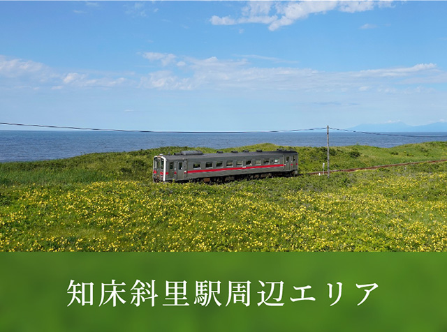 知床斜里駅周辺エリア