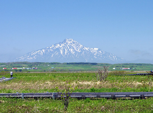 サロベツ湿原センター