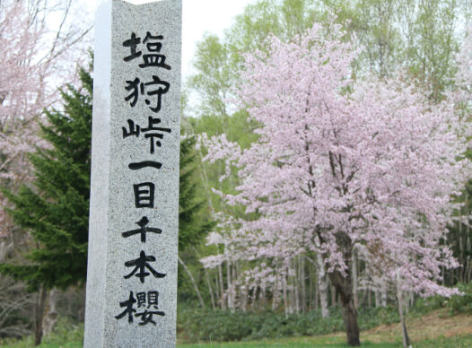 塩狩峠一目千本桜