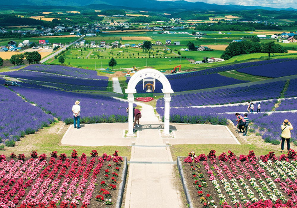 【旭川発着】色鮮やかな花畑と芸術に触れる、休日ぶらり日帰り旅