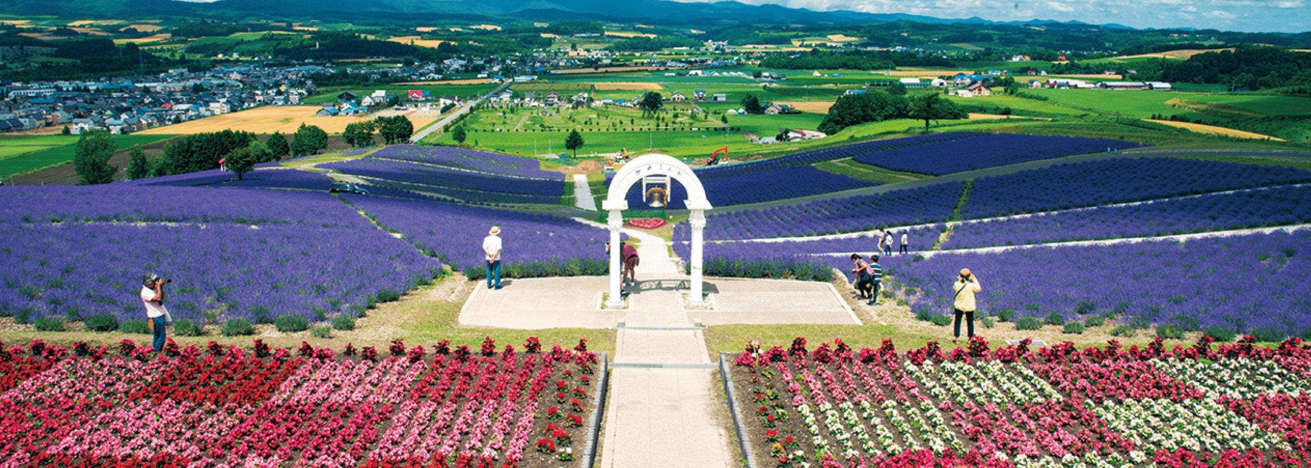 美瑛の定番と季節の花々を楽しむコース写真