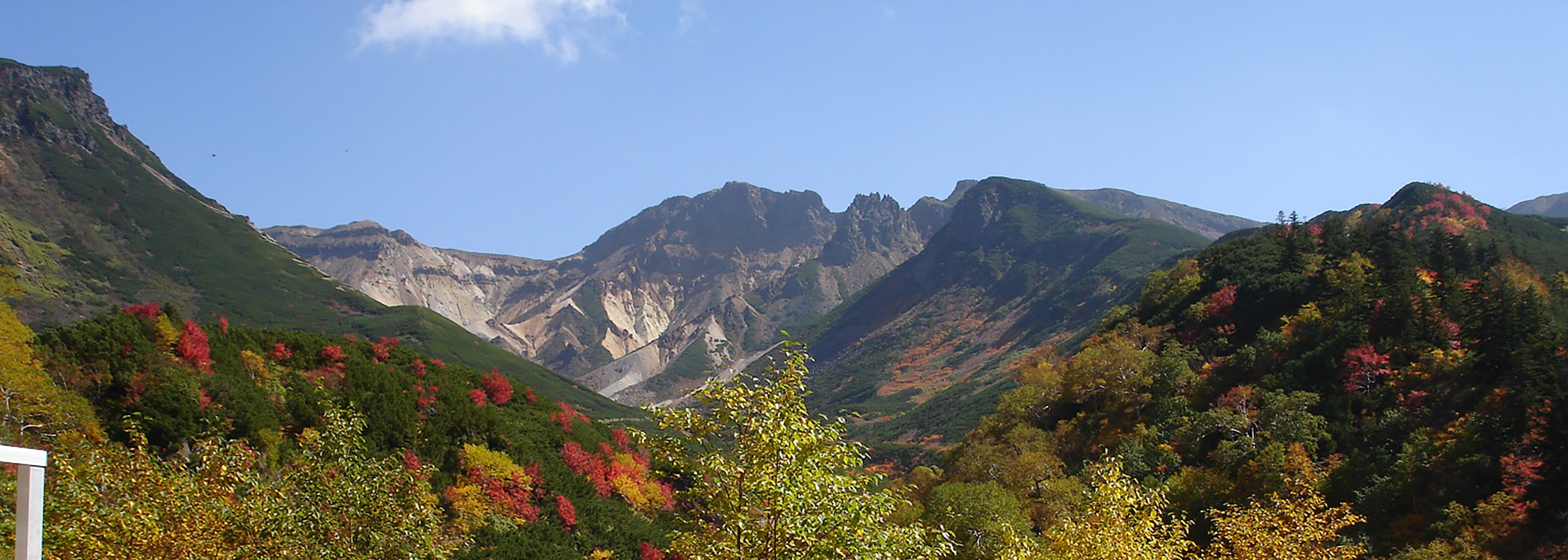 大自然の十勝岳温泉とラベンダーを訪ねる旅写真