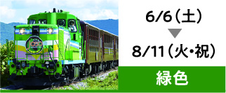 6/6（土）→8/11（火・祝）緑色