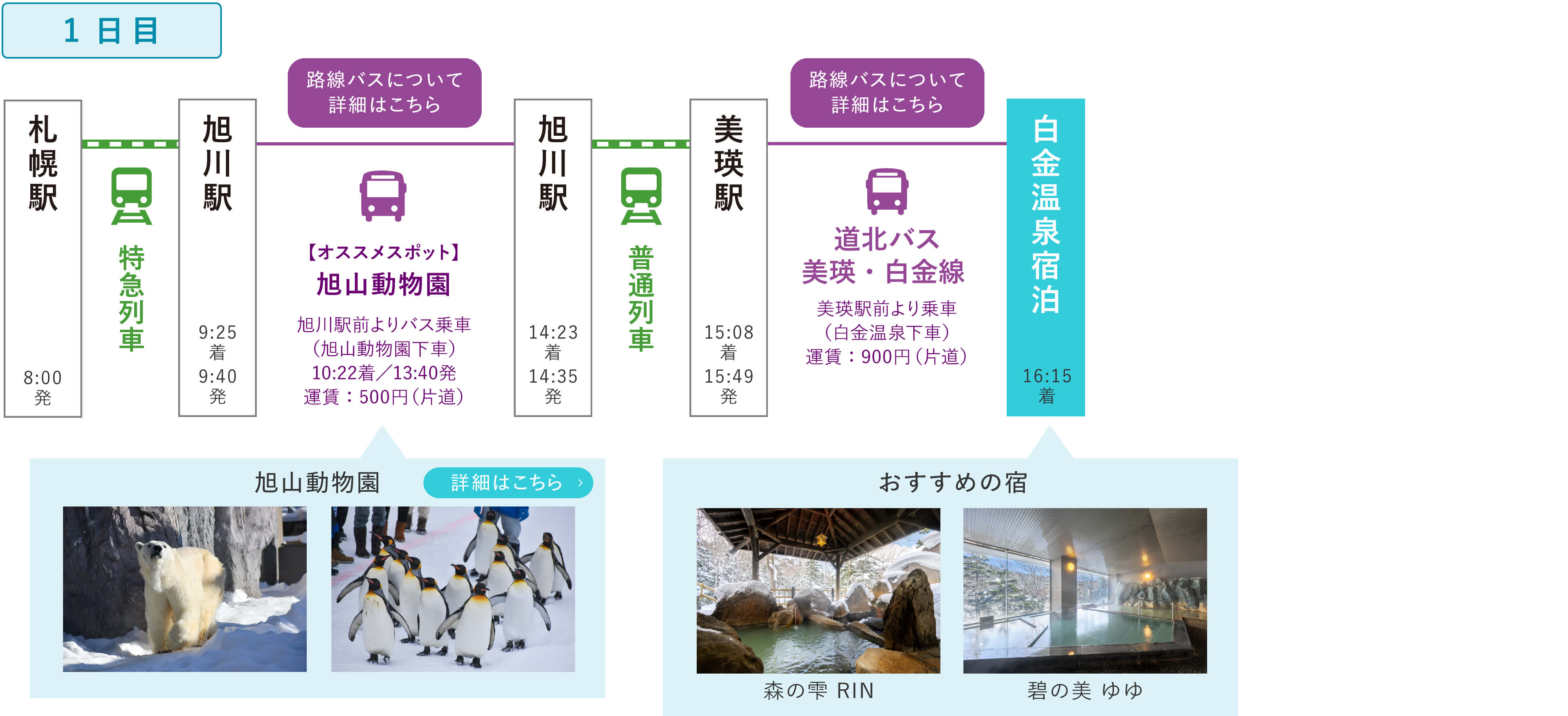 路線バスで行こう！〜冬の旭山動物園と白金温泉〜