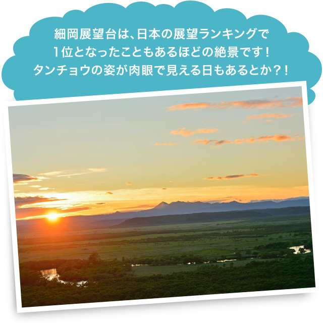 細岡展望台は、日本の展望ランキングで1位となったこともあるほどの絶景です!タンチョウの姿が肉眼で見える日もあるとか?!