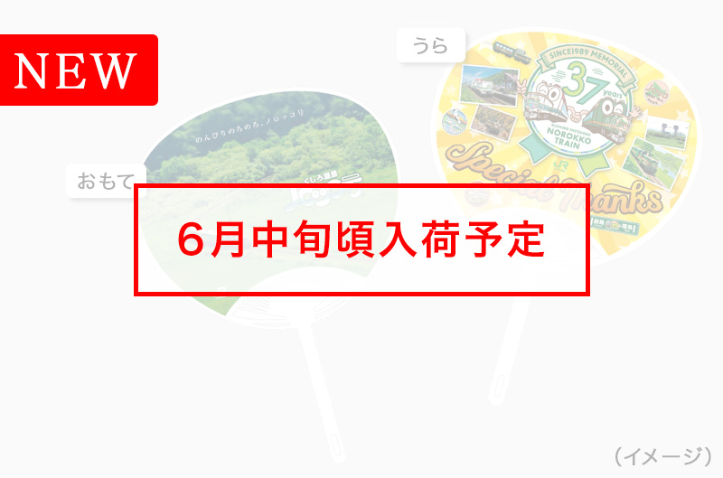 ノロッコ号の楽しみ方｜くしろ湿原ノロッコ号｜道東方面の観光情報