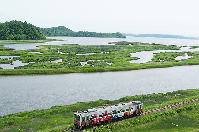 湿原高台から