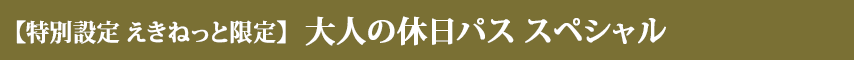 【特別設定 えきねっと限定】大人の休日パス スペシャル