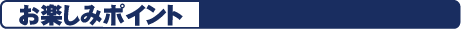 お楽しみポイント