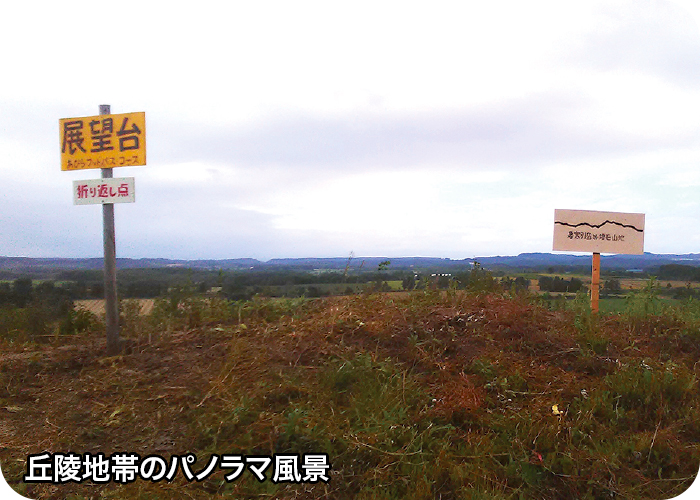 丘陵地帯のパノラマ風景