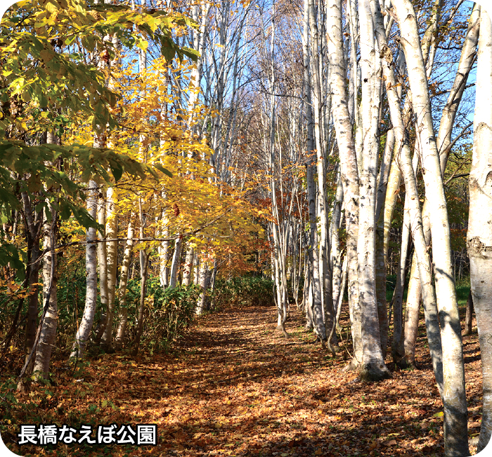 長橋なえぼ公園