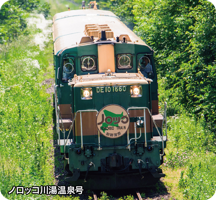 ノロッコ川湯温泉号