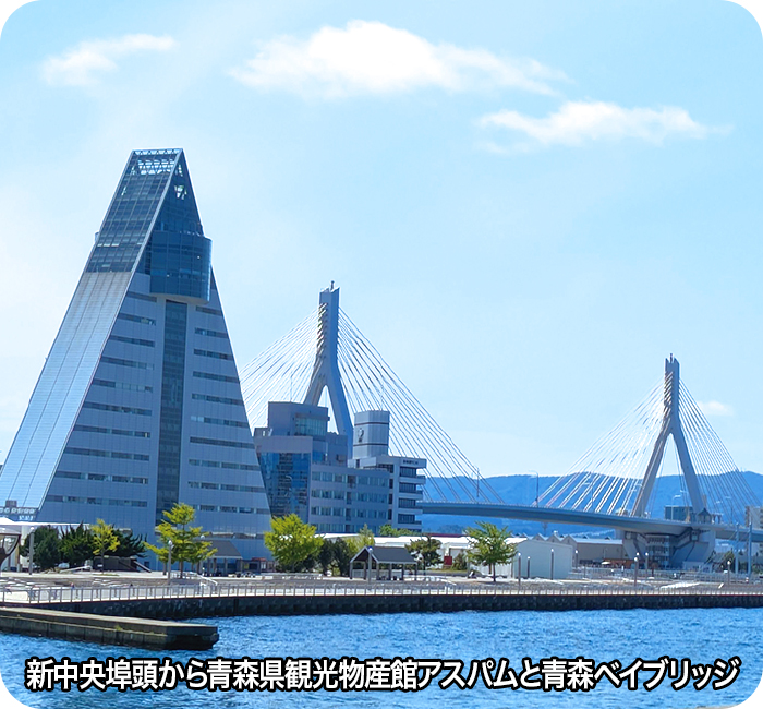 新中央埠頭から青森県観光物産館アスパムと青森ベイブリッジ