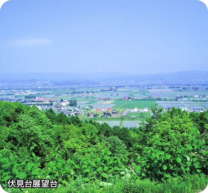 伏見台展望台