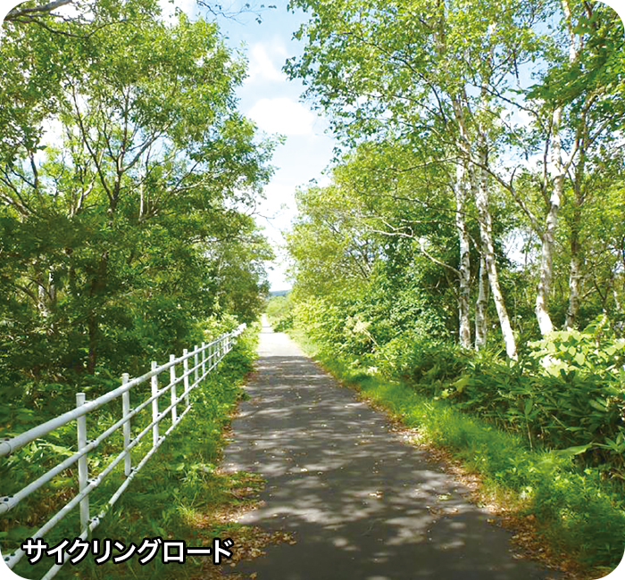 サイクリングロード