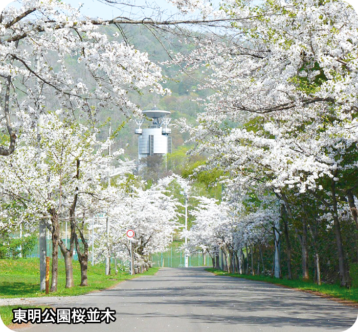 東明公園桜並木