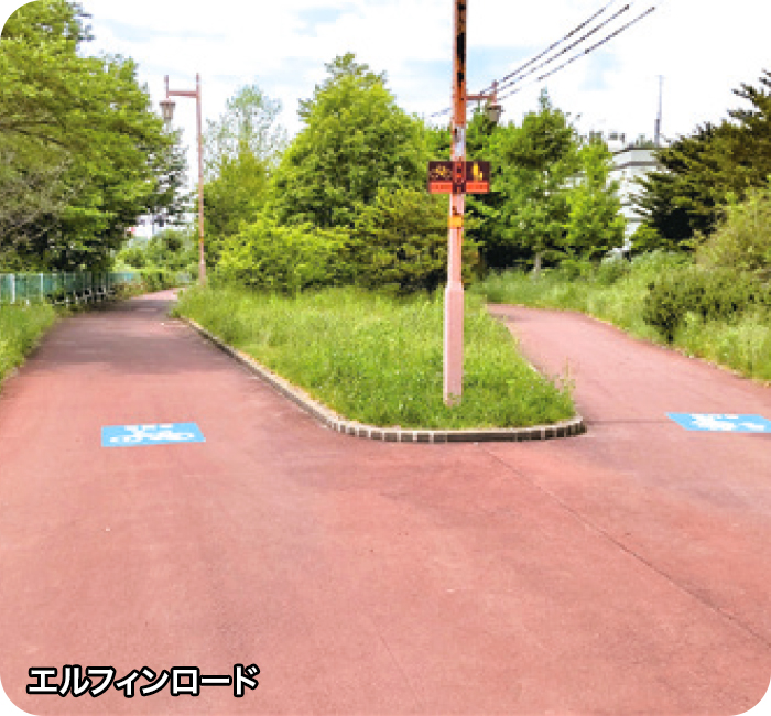 エルフィンロード