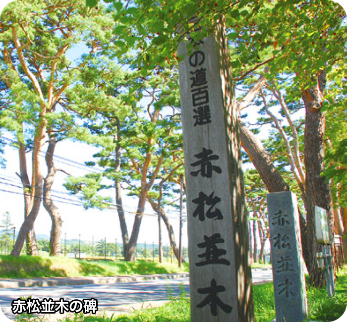 赤松並木の碑