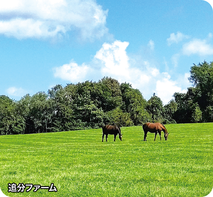 追分ファーム